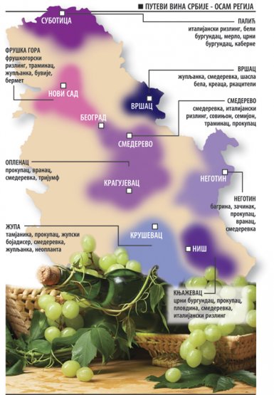 rep-vino--Mapa-vina.jpg, 231 KB